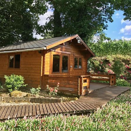 Chambres D'Hotes Les Tilleuls Poullaouen Exteriér fotografie